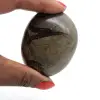 Pebbles of septaria - 1