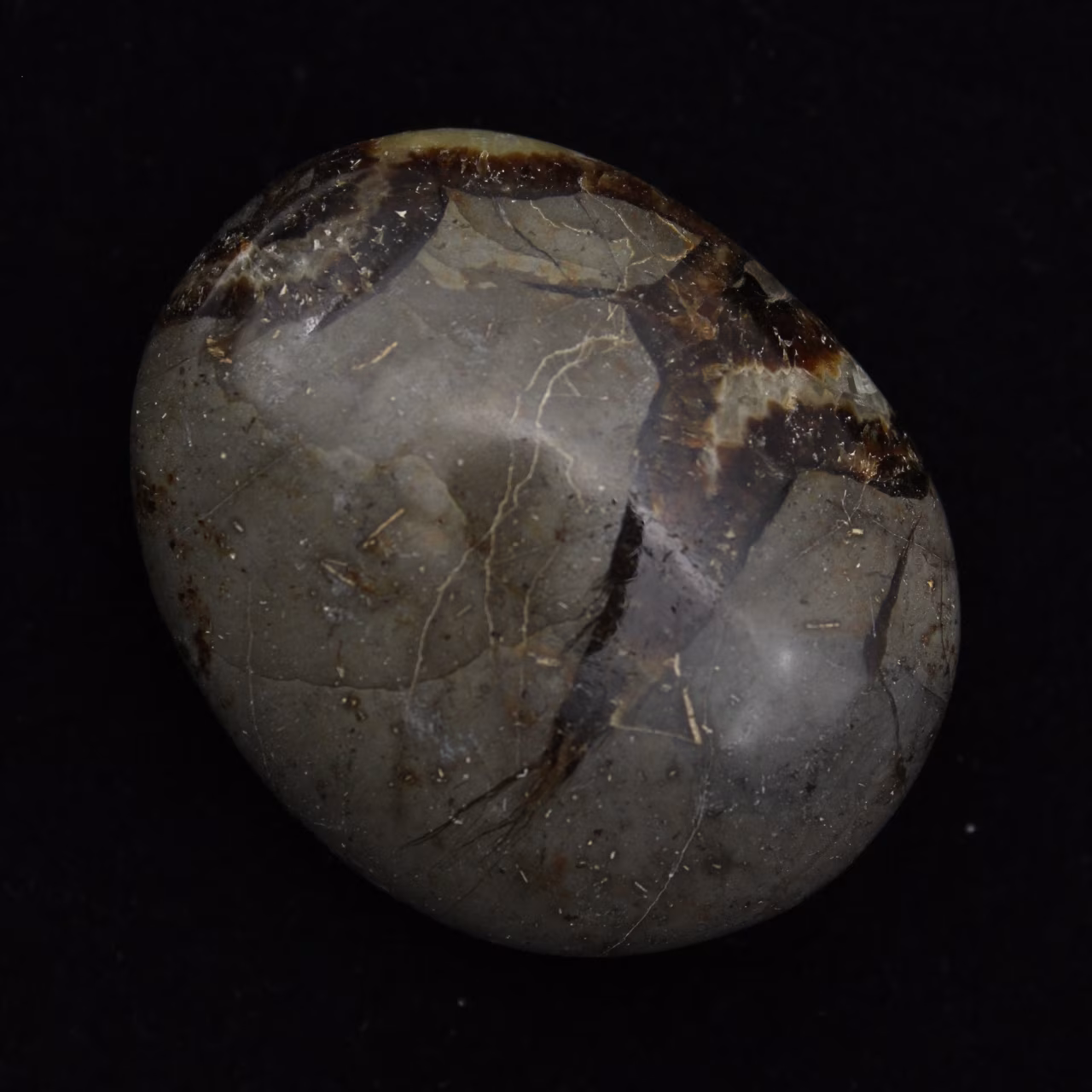Pebbles of septaria