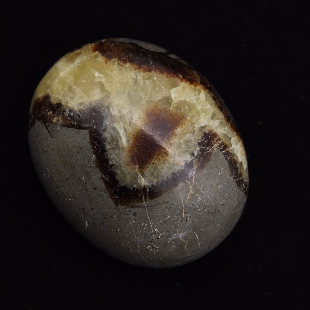 Pebbles of septaria