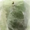 Green Fluorite Heptahedron - 8