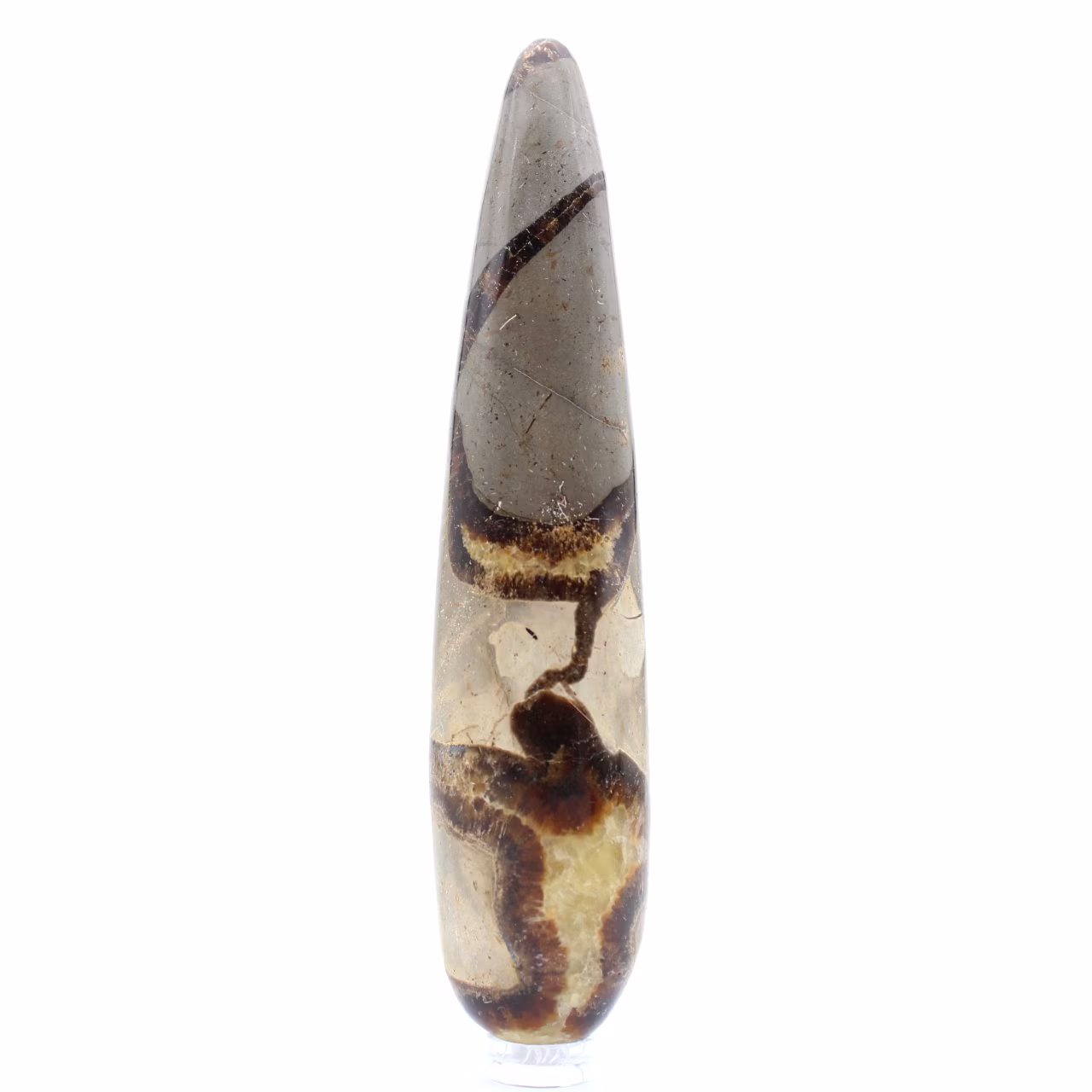 Stick in natural Septaria