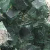 Cubic crystals of fluorite on gangue - 9