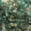 Cubic crystallized fluorite - 6