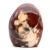 Ornamental carnelian - 0