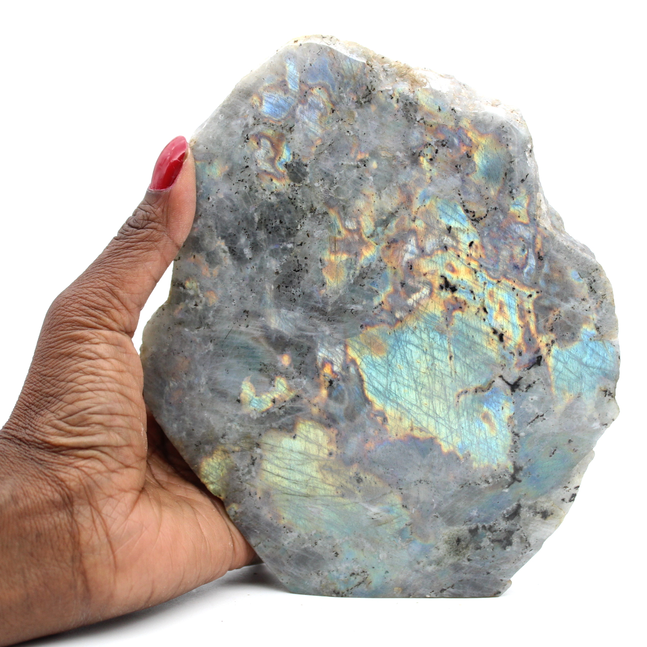 Collection natural semi-rough labradorite