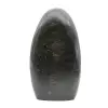 Polished stone in diopside - 1