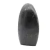 Polished stone in diopside - 3