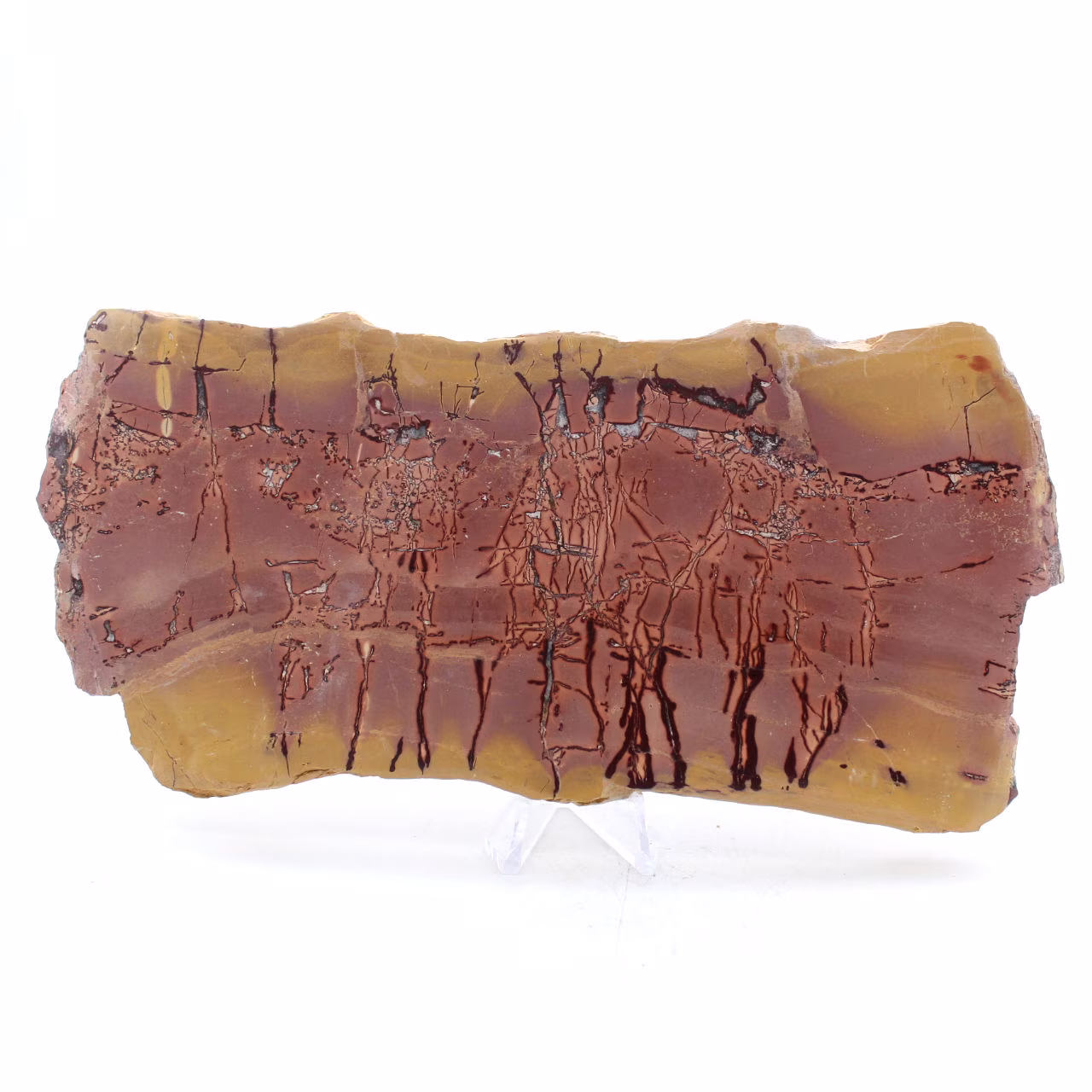 Polished Landscape Mochaite