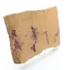 Polished mochaite slab - 3