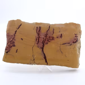 Polished mochaite slab