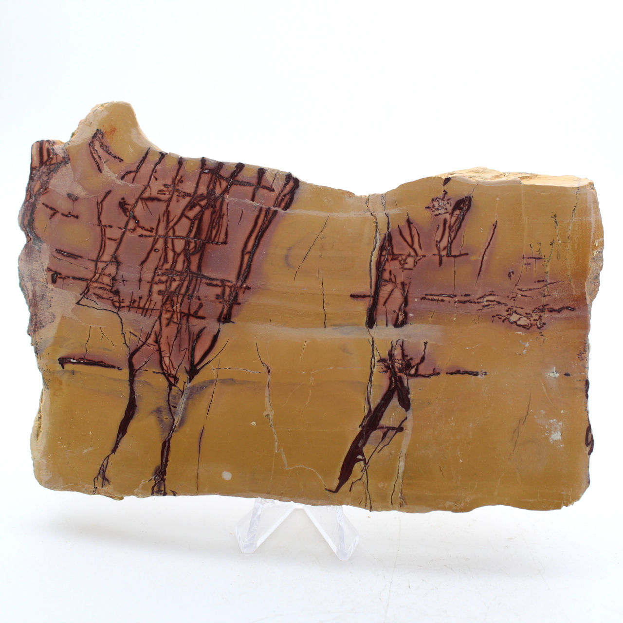 Polished mochaite from Morocco