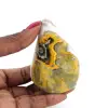 bumblebee jasper - 0