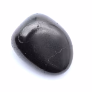 Decorative polished shungite