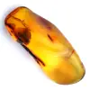Polished amber - 0