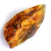 Amber specimen - 0
