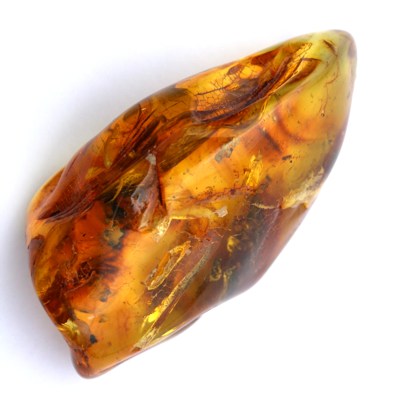 Amber specimen