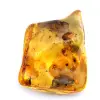 Amber - 1