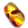 Natural amber - 0