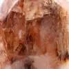 Polished freeform red quartz - 6