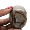 Pebble in septaria - 1