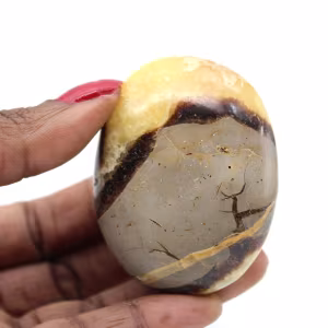 Pebble in septaria