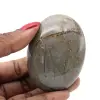 Pebble in septaria - 1