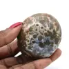 Orbicular jasper pebble - 0