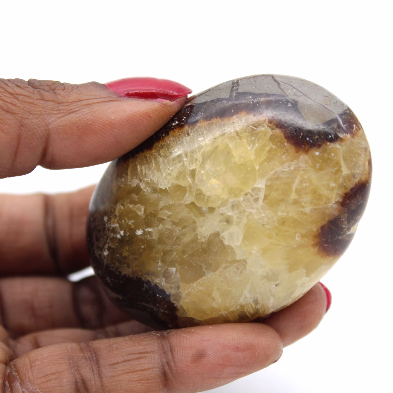 Pebble in septaria