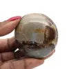 Pebble in septaria - 0