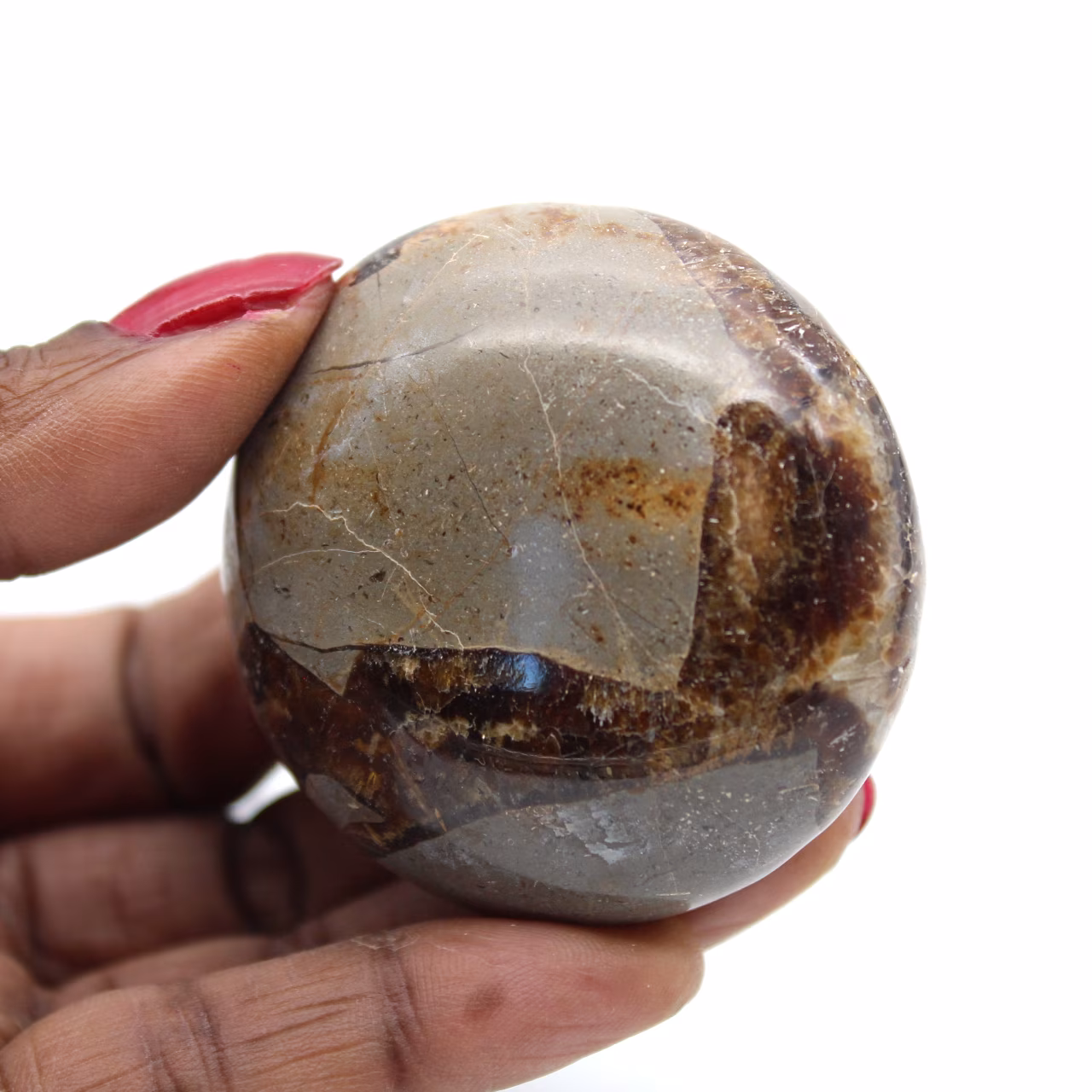 Pebble in septaria