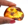 Natural yellow amber - 0