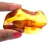 Amber specimen - 0