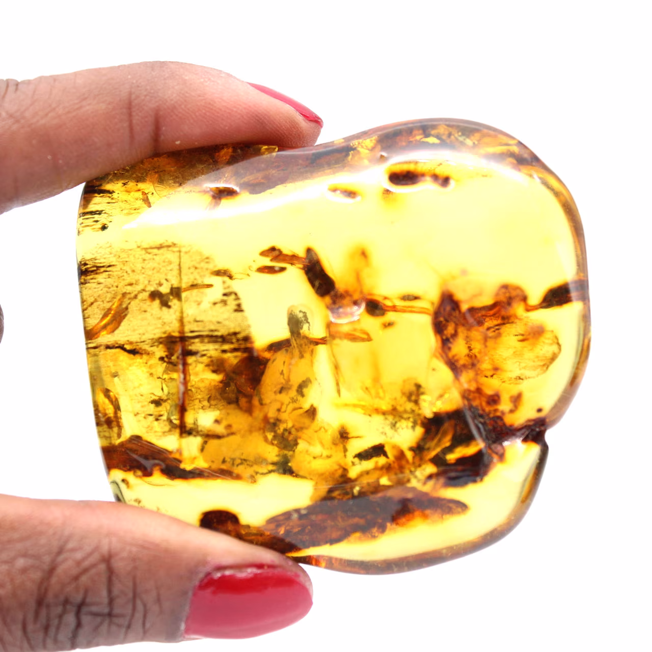 Fossil amber