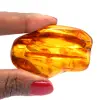 Fossil amber specimen - 0