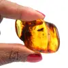 Fossil amber pebble - 0