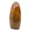 Decorative polished jasper - 2