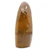 Decorative polished jasper - 4