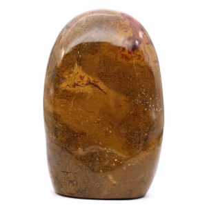 Polished jasper polished form