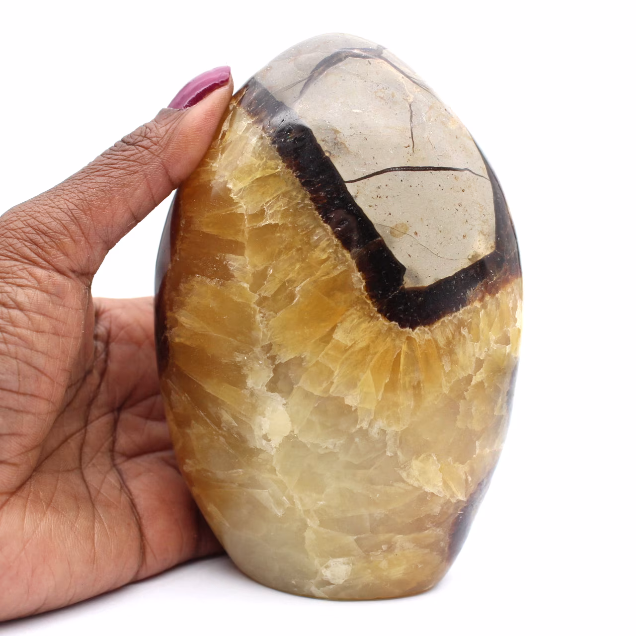 Polished septaria from madagascar