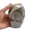 Polished septaria - 0