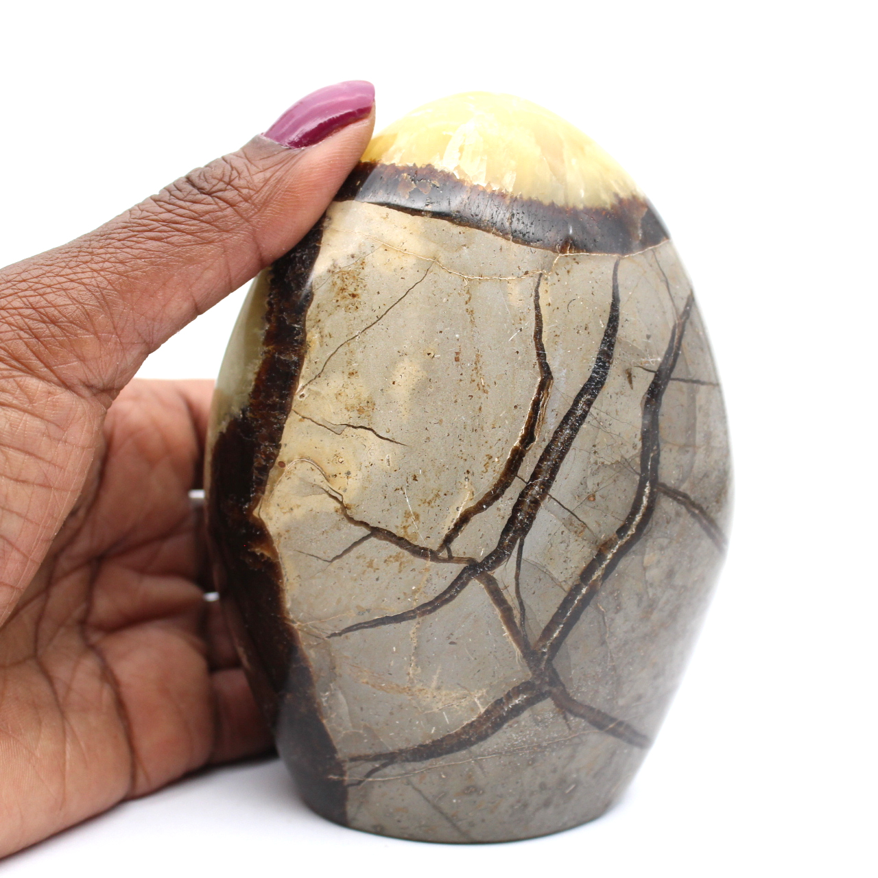 Polished septaria from madagascar