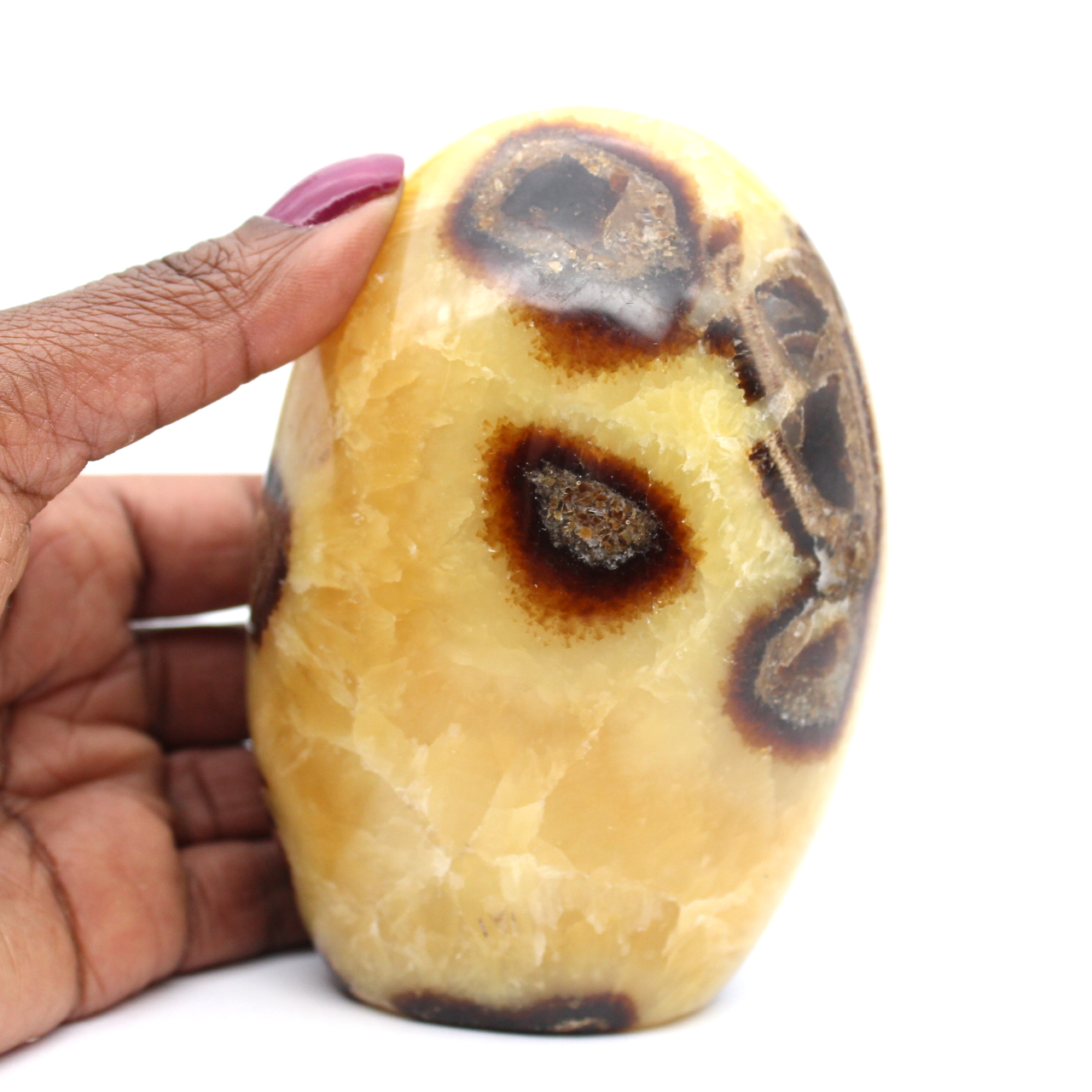 Polished septaria stone from madagascar