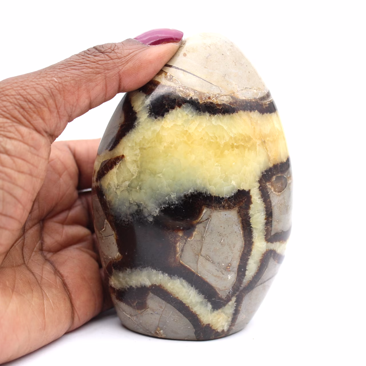 Polished septarian stone
