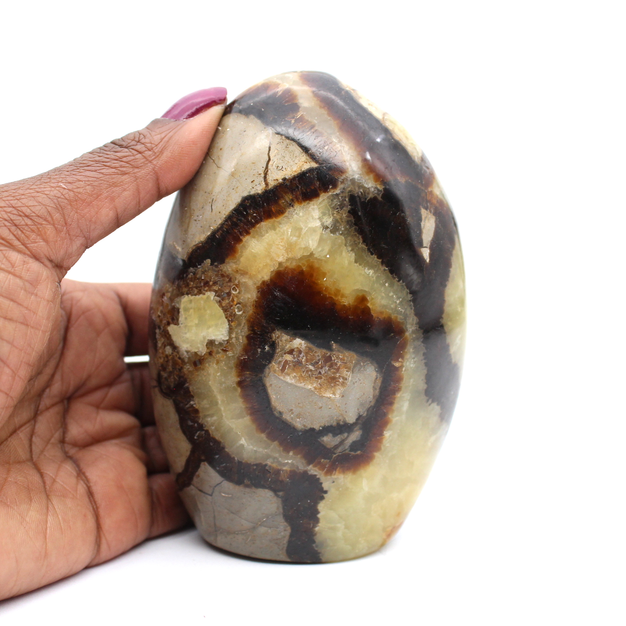 Polished septaria freeform