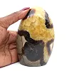Free form polished septaria - 0