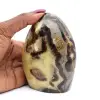 Polished polished septarian stone - 0