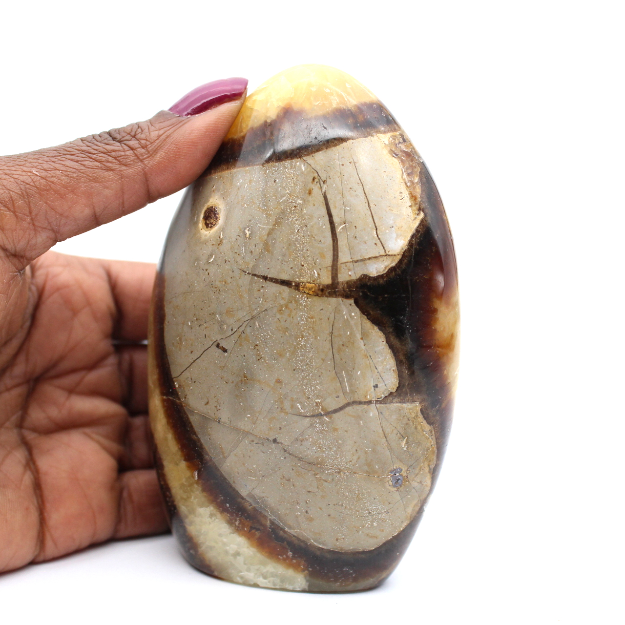 Decorative stone in polished septaria