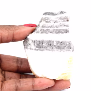 Zebra jasper rock