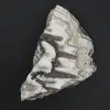 Zebra jasper rock - 1