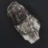 Zebra jasper rock - 1